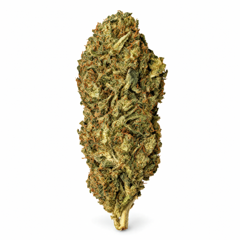 Royal Cheese – Fleurs de CBD Greenhouse