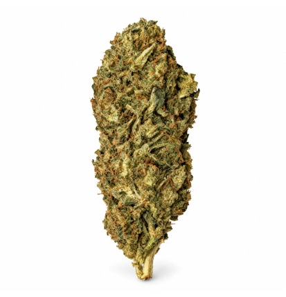Royal Cheese – Fleurs de CBD Greenhouse