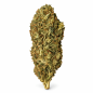 Royal Cheese – Fleurs de CBD Greenhouse