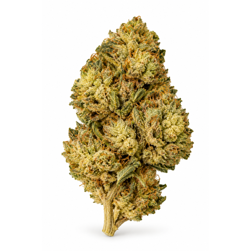 Blue Dream – Fleurs de CBD / CBG Greenhouse