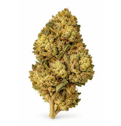 Blue Dream – Fleurs de CBD / CBG Greenhouse