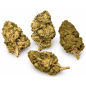 Blue Dream – Fleurs de CBD / CBG Greenhouse