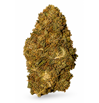 Fruit Candy – Fleurs de CBD Greenhouse