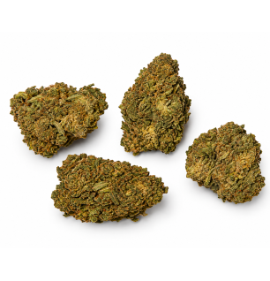 Fruit Candy – Fleurs de CBD Greenhouse