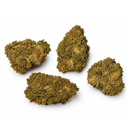Fruit Candy – Fleurs de CBD Greenhouse