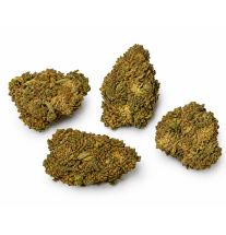 Fruit Candy – Fleurs de CBD Greenhouse