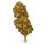 Banana – Fleurs de CBD Greenhouse