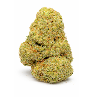 Orange Sherbet – Fleurs de CBD Indoor Hydroponie PRIX
