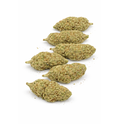 Orange Sherbet – Fleurs de CBD Indoor Hydroponie PRIX