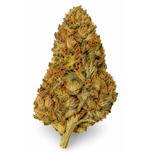 Strawnana – Fleurs de CBD Glasshouse