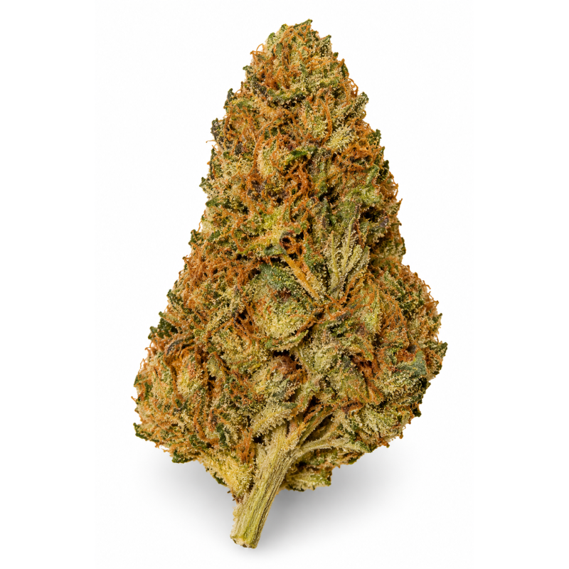 Strawnana – Fleurs de CBD Glasshouse