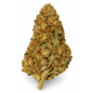 Strawnana – Fleurs de CBD Glasshouse