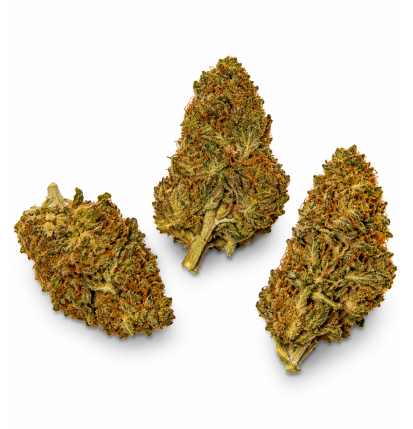 Strawnana – Fleurs de CBD Glasshouse