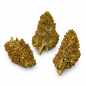 Strawnana – Fleurs de CBD Glasshouse