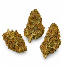 Strawnana – Fleurs de CBD Glasshouse