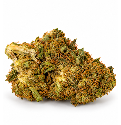 Super Skunk – Fleurs de CBD Glasshouse