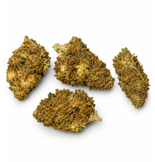 Super Skunk – Fleurs de CBD Glasshouse