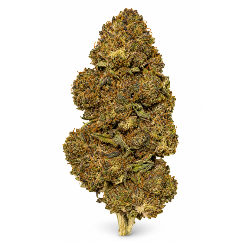Sour Kush – Fleurs de CBD Glasshouse