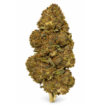 Sour Kush – Fleurs de CBD Glasshouse