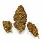 Sour Kush – Fleurs de CBD Glasshouse