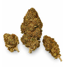 Sour Kush – Fleurs de CBD Glasshouse