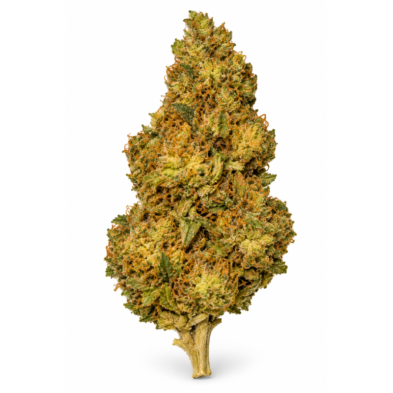 Super Lemon Haze – Fleurs de CBD Glasshouse