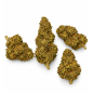 Super Lemon Haze – Fleurs de CBD Glasshouse
