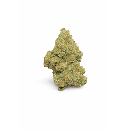 Amnesia – Fleurs de CBD Indoor