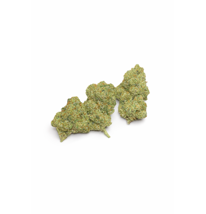 Amnesia – Fleurs de CBD Indoor