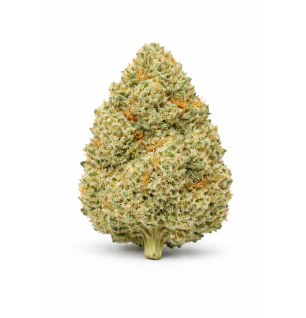 Liberty Haze – Fleurs de CBD Indoor