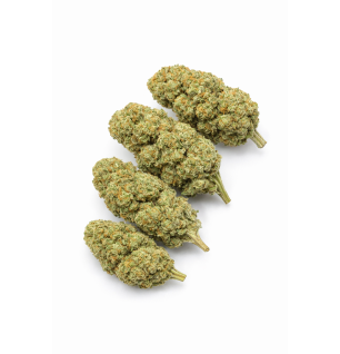 Liberty Haze – Fleurs de CBD Indoor