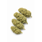 Liberty Haze – Fleurs de CBD Indoor