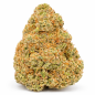 Gelonade – Fleurs de CBD Indoor Hydroponie PRIX