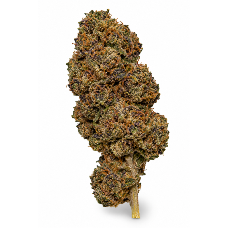 Blueberry – Fleurs de CBD Indoor