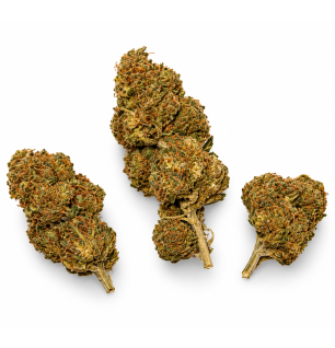 Blueberry – Fleurs de CBD Indoor