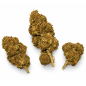 Blueberry – Fleurs de CBD Indoor