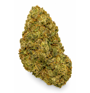 Amnesia Cryo – Fleurs de CBD Indoor