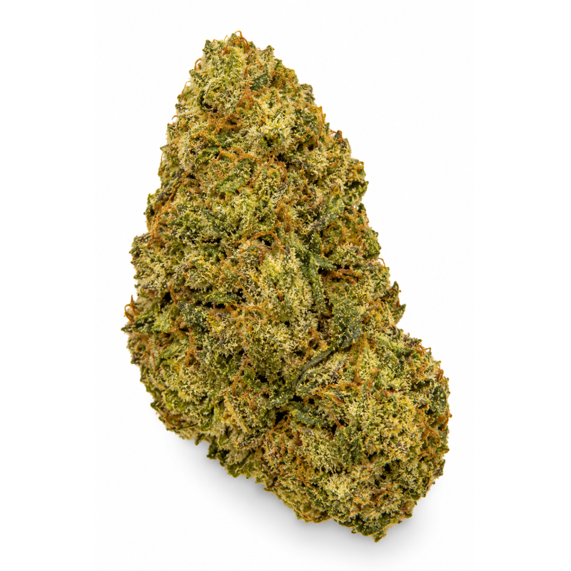 Amnesia Cryo – Fleurs de CBD Indoor