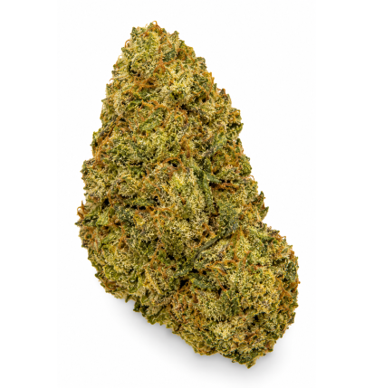 Amnesia Cryo – Fleurs de CBD Indoor