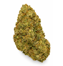 Amnesia Cryo – Fleurs de CBD Indoor