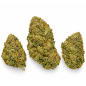Amnesia Cryo – Fleurs de CBD Indoor