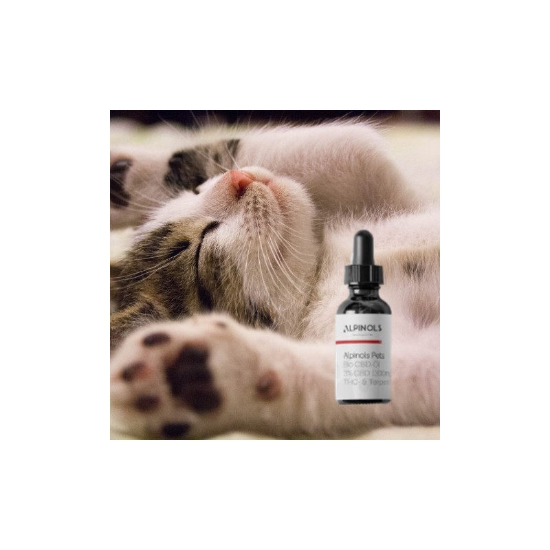 Huile 3% de CBD pour Chat