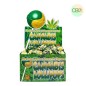 Sucette CBD Lollypops Bubble Gum & Nothern lights - Pineapple