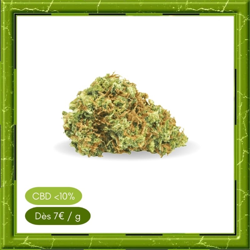 LEMON HAZE GLASSHOUSE -