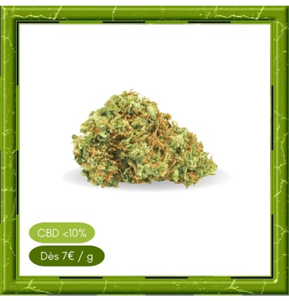 LEMON HAZE GLASSHOUSE -