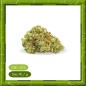 LEMON HAZE GLASSHOUSE -