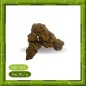 WHITE WIDOW GLASSHOUSE -