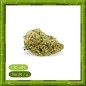 GELATO GREENHOUSE -