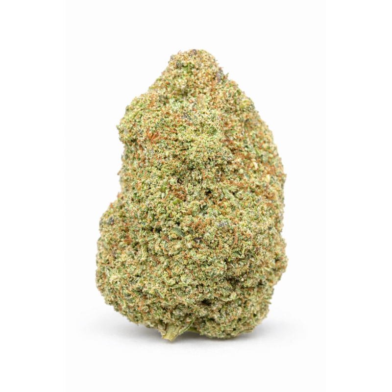 LONDON POUND CAKE - INDOOR