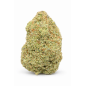 LONDON POUND CAKE - INDOOR